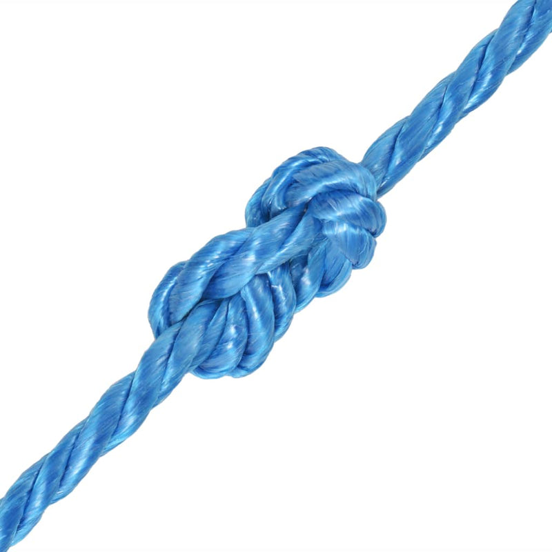 Afbeelding laden in galerijviewer, Vidaxl touw gedraaid 6 mm 200 m polypropyleen blauw
