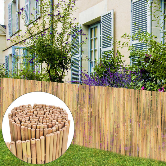 VidaXL Scherm 300x100 cm bamboe