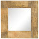 Vidaxl spiegel 50x50 cm massief mangohout