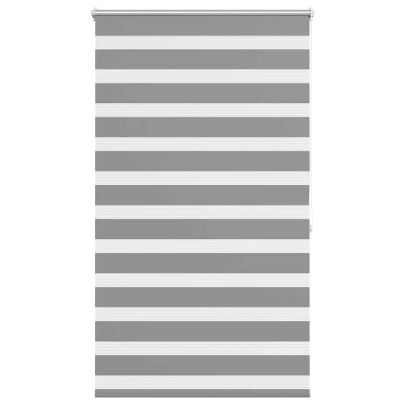 Afbeelding laden in galerijviewer, Vidaxl zebra rolgordijn 100,9 x 175 cm stofbreedte 96,7 cm grijs
