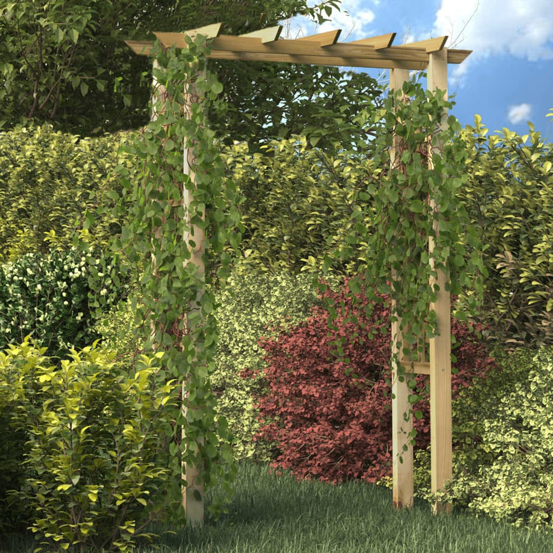 Afbeelding laden in galerijviewer, VidaXL Rozenboog 150x60x204 cm geïmpregneerd hout

