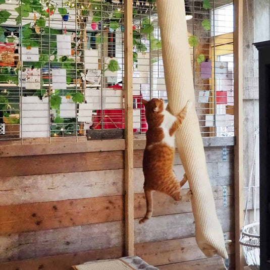 Quapas! klimzak voor katten 180 cm sisal