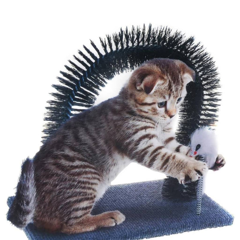 Afbeelding laden in galerijviewer, Pets collection kattenspeelgoed borstelboog
