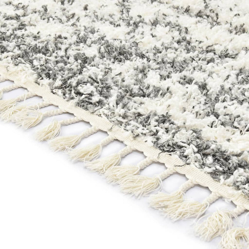 Afbeelding laden in galerijviewer, VidaXL Tapijt Berber shaggy hoogpolig 160x230 cm PP beige zandkleurig
