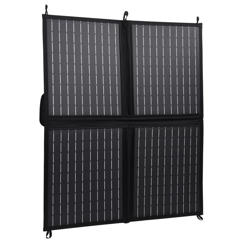 Afbeelding laden in galerijviewer, VidaXL Zonnepaneeloplader inklapbaar 80 W 12 V
