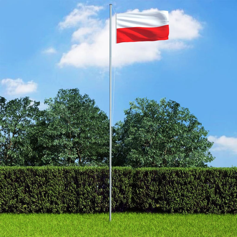 Afbeelding laden in galerijviewer, Vidaxl vlag polen 90x150 cm

