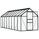 VidaXL Tuinkas met basisframe 9,31 m³ aluminium antracietkleurig