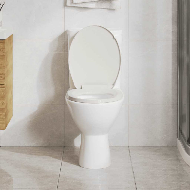 Afbeelding laden in galerijviewer, Vidaxl toiletbril soft-close en quick-release ovaal lichtgrijs
