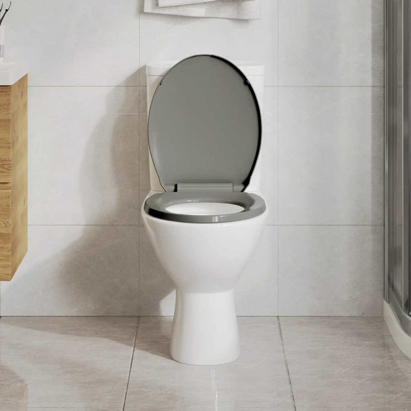 Afbeelding laden in galerijviewer, Vidaxl toiletbril soft-close en quick-release ovaal grijs
