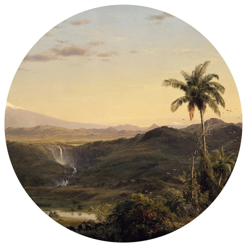 Afbeelding laden in galerijviewer, WallArt WallArt Behangcirkel The Americas 190 cm
