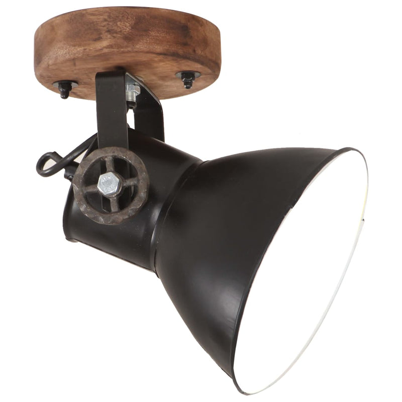 Afbeelding laden in galerijviewer, Vidaxl wand- plafondlampen industrieel 2 st e27 20x25 cm zwart
