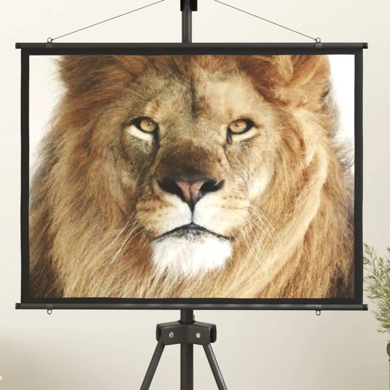 Afbeelding laden in galerijviewer, VidaXL Projectiescherm 4:3 50''
