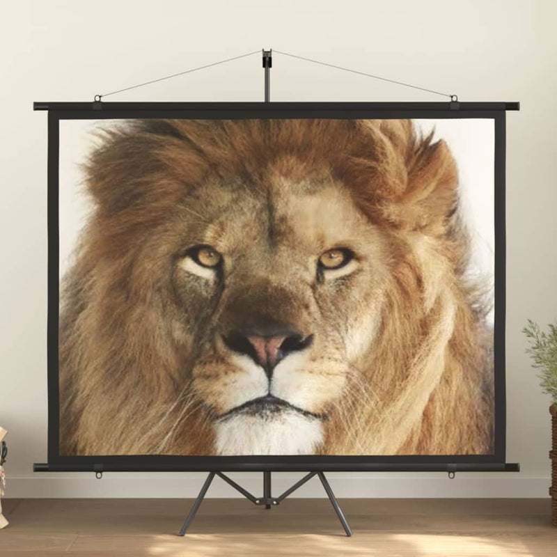 Afbeelding laden in galerijviewer, VidaXL Projectiescherm 4:3 100''
