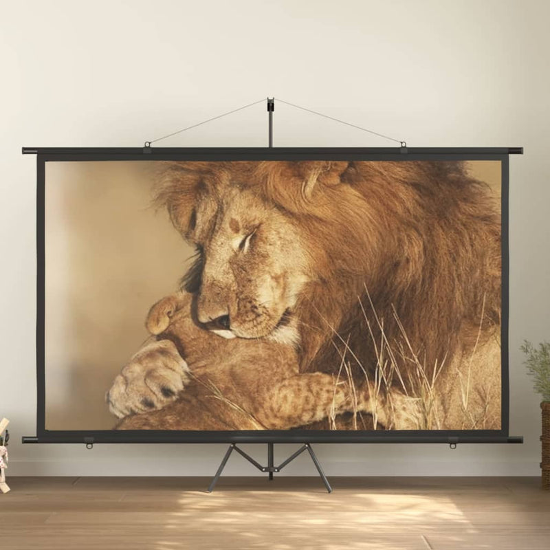 Afbeelding laden in galerijviewer, VidaXL Projectiescherm 16:9 120''
