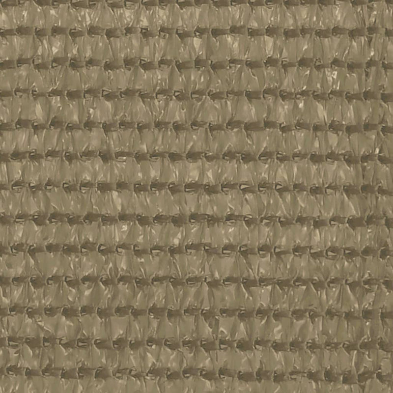 Afbeelding laden in galerijviewer, VidaXL Tenttapijt 250x500 cm taupe
