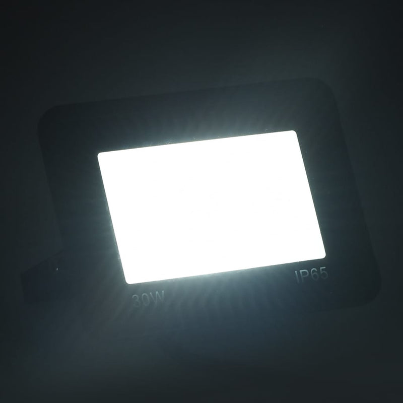 Afbeelding laden in galerijviewer, Vidaxl spotlights 2 st led 30 w koudwit

