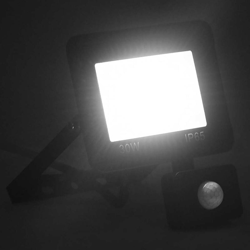 Afbeelding laden in galerijviewer, Vidaxl spotlight met sensor led 30 w koudwit
