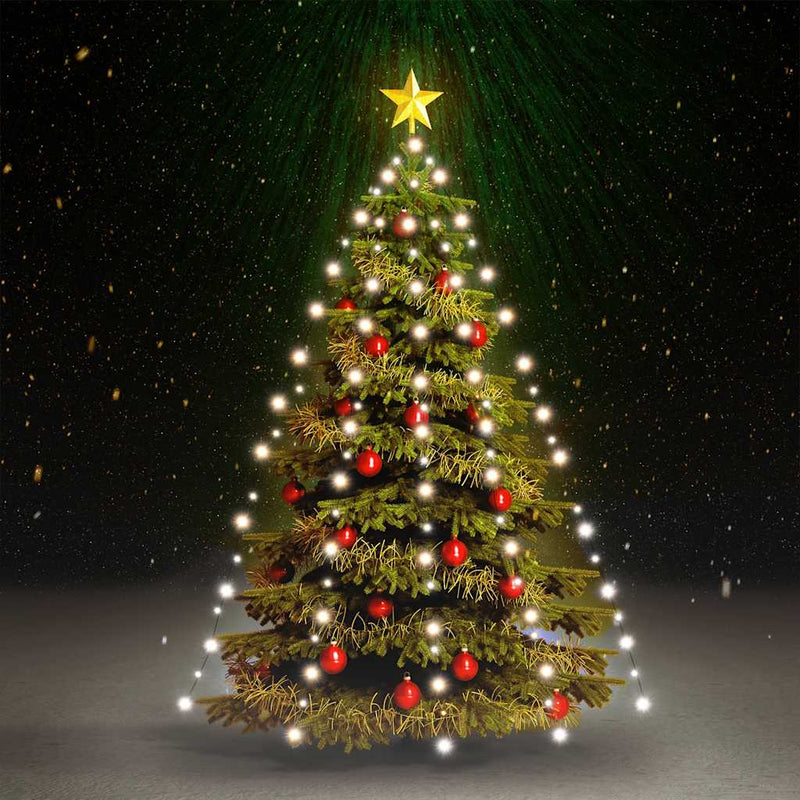 Afbeelding laden in galerijviewer, Vidaxl kerstboomverlichting met 210 led's koudwit net 210 cm
