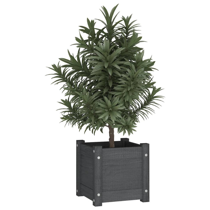 Afbeelding laden in galerijviewer, Vidaxl plantenbak 31x31x31 cm massief grenenhout grijs
