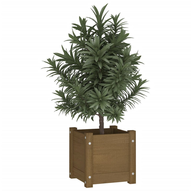 Afbeelding laden in galerijviewer, Vidaxl plantenbak 31x31x31 cm massief grenenhout honingbruin
