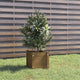 Vidaxl plantenbak 31x31x31 cm massief grenenhout honingbruin