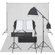 Vidaxl fotostudioset met verlichtingsset en achtergrond