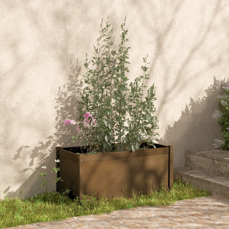 Afbeelding laden in galerijviewer, VidaXL Plantenbakken 2 st 100x50x50 cm massief grenenhout honingbruin
