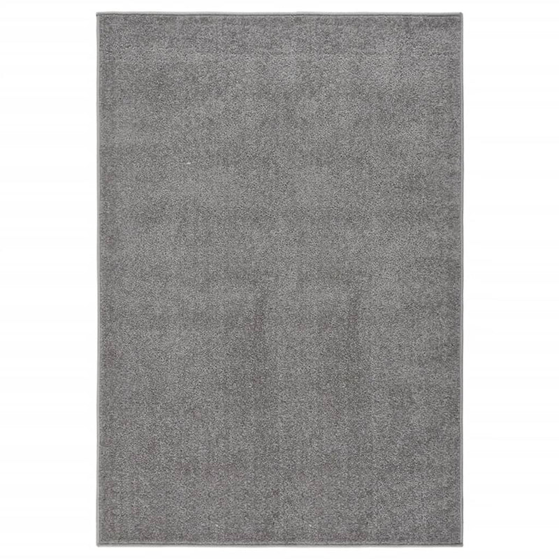 Afbeelding laden in galerijviewer, VidaXL Vloerkleed kortpolig 200x290 cm grijs
