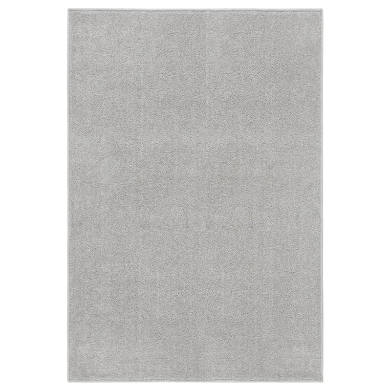 Afbeelding laden in galerijviewer, VidaXL Vloerkleed kortpolig 200x290 cm lichtgrijs
