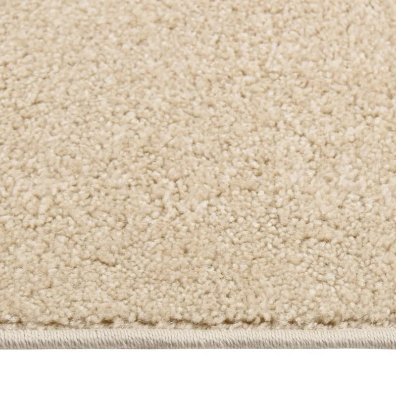 Afbeelding laden in galerijviewer, Vidaxl vloerkleed kortpolig 80x150 cm beige
