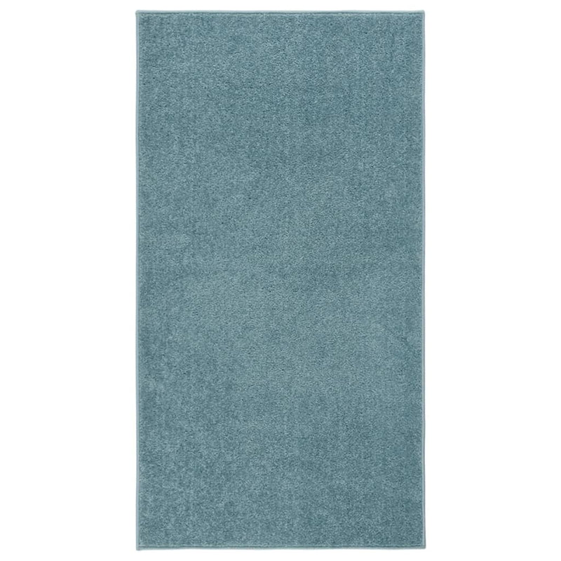 Afbeelding laden in galerijviewer, VidaXL Vloerkleed kortpolig 80x150 cm blauw
