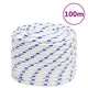 Vidaxl boot touw 16 mm 100 m polypropyleen wit