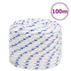 Vidaxl boot touw 18 mm 100 m polypropyleen wit