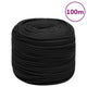 Vidaxl boottouw 8 mm 100 m polypropeen zwart