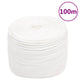 Vidaxl boottouw 10 mm 100 m polypropyleen volwit