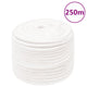 Vidaxl boottouw 14 mm 250 m polypropyleen volwit