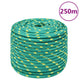 Vidaxl boottouw 12 mm 250 m polypropyleen groen