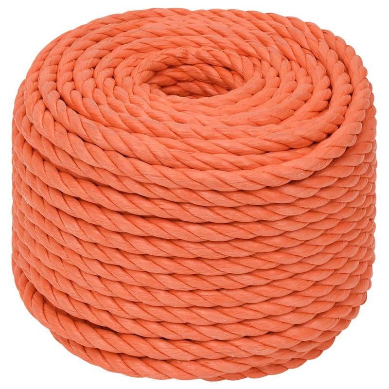 Afbeelding laden in galerijviewer, Vidaxl werktouw 10 mm 25 m polypropeen oranje
