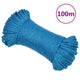 Vidaxl werktouw 3 mm 100 m polypropeen blauw