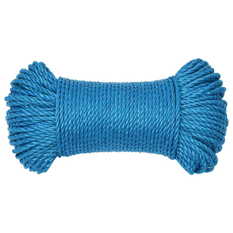 Afbeelding laden in galerijviewer, Vidaxl werktouw 3 mm 500 m polypropeen blauw
