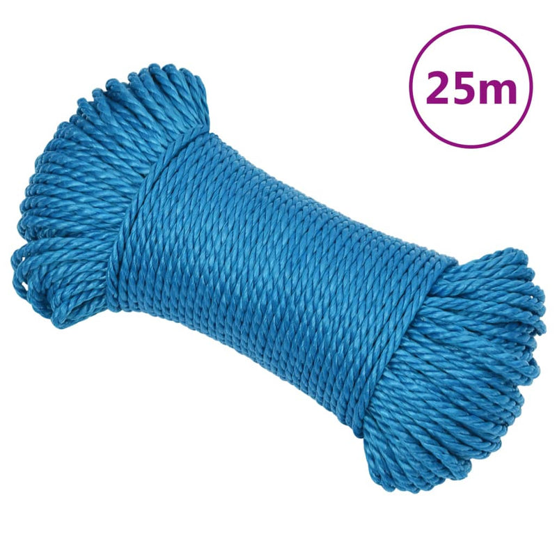 Afbeelding laden in galerijviewer, Vidaxl werktouw 6 mm 25 m polypropeen blauw
