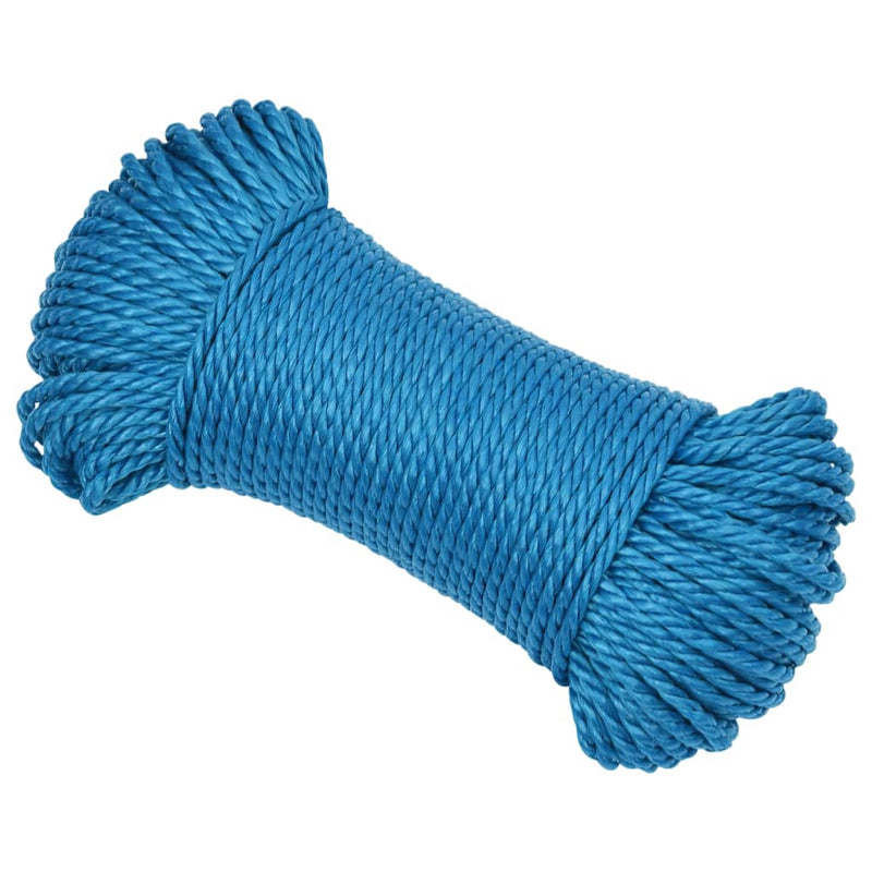 Afbeelding laden in galerijviewer, Vidaxl werktouw 6 mm 50 m polypropeen blauw
