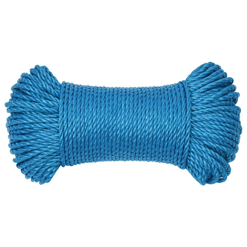 Afbeelding laden in galerijviewer, Vidaxl werktouw 6 mm 100 m polypropeen blauw
