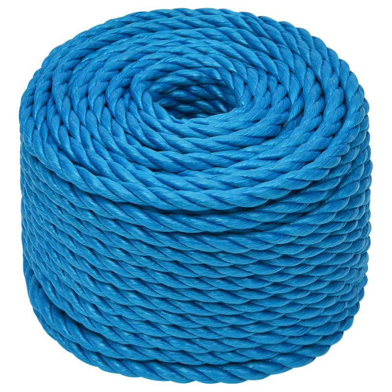 Afbeelding laden in galerijviewer, Vidaxl werktouw 14 mm 25 m polypropeen blauw
