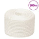 Vidaxl werktouw 12 mm 100 m polypropeen wit