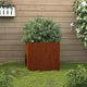 Vidaxl plantenbak 32x30x29 cm cortenstaal