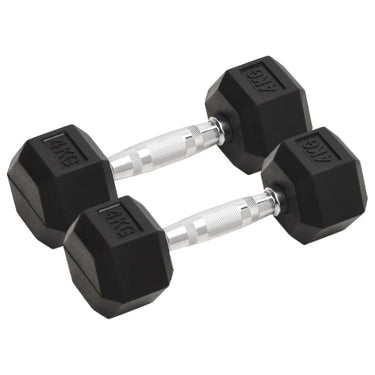 Vidaxl halters 2 st 8 kg totaal gietijzer
