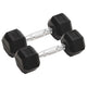 Vidaxl halters 2 st 10 kg totaal gietijzer