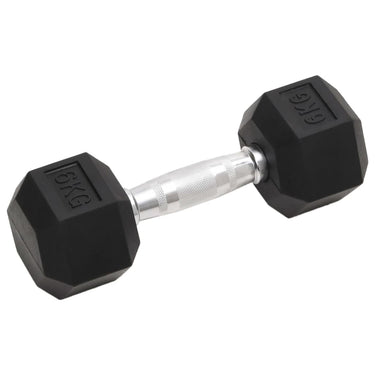 Vidaxl halters 2 st 12 kg totaal gietijzer