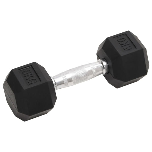 Vidaxl halters 2 st 12 kg totaal gietijzer
